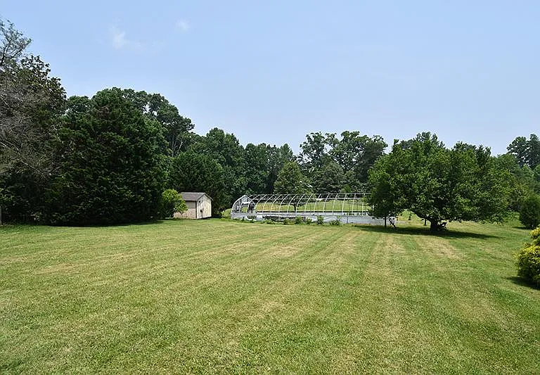 View from back deck