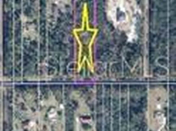 Ralston St Lot 871, Orlando, FL 32833