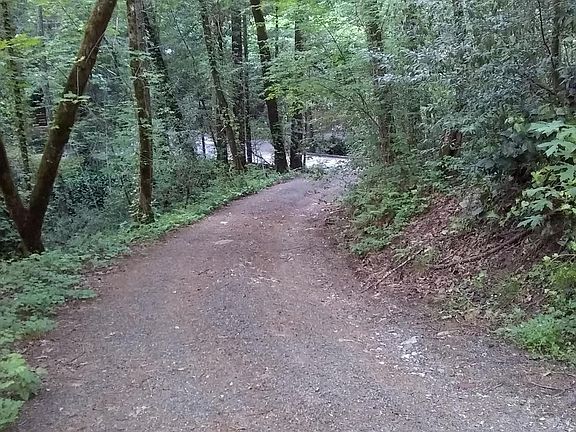 Looking down driveway