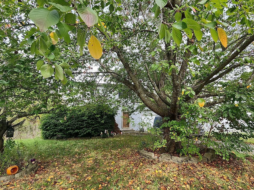 1st image of 55 Macarthur Ave
