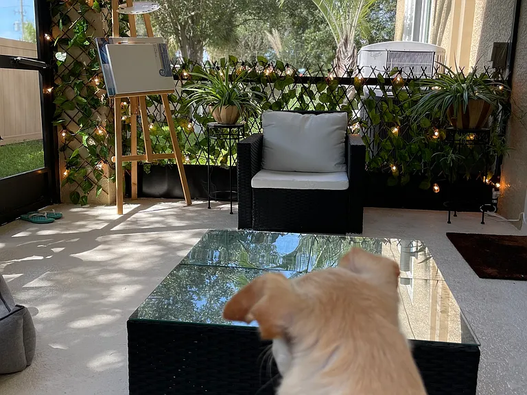 Patio