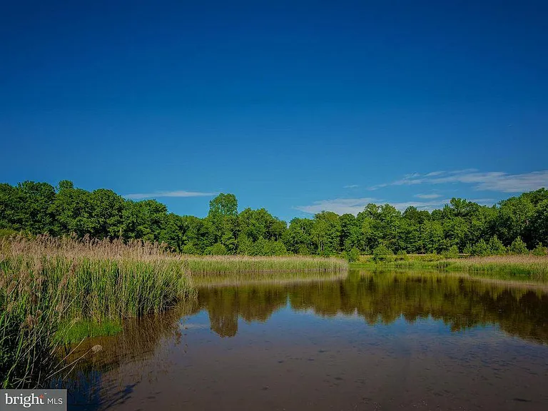 Pond