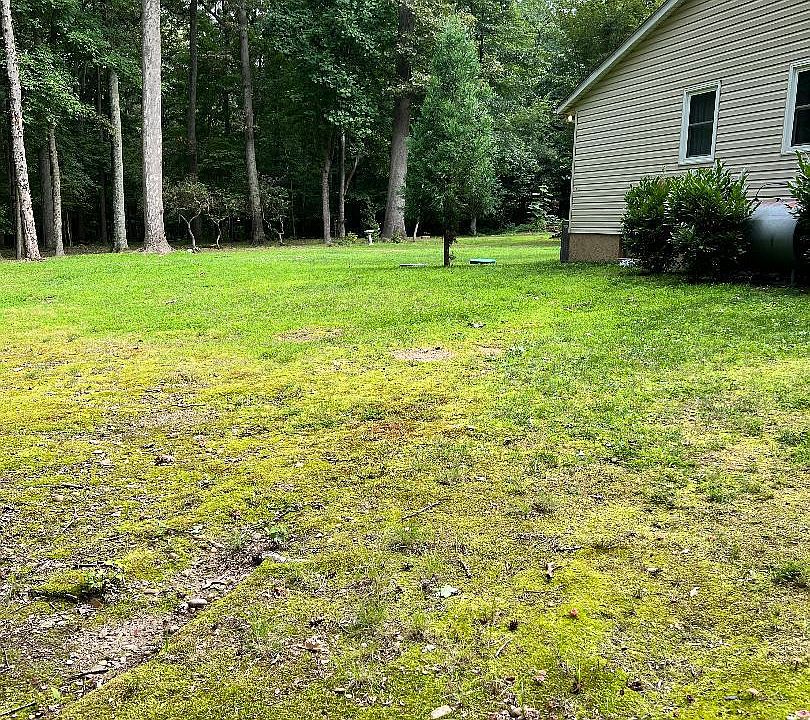 2nd image of 125 Hazelmoor Dr