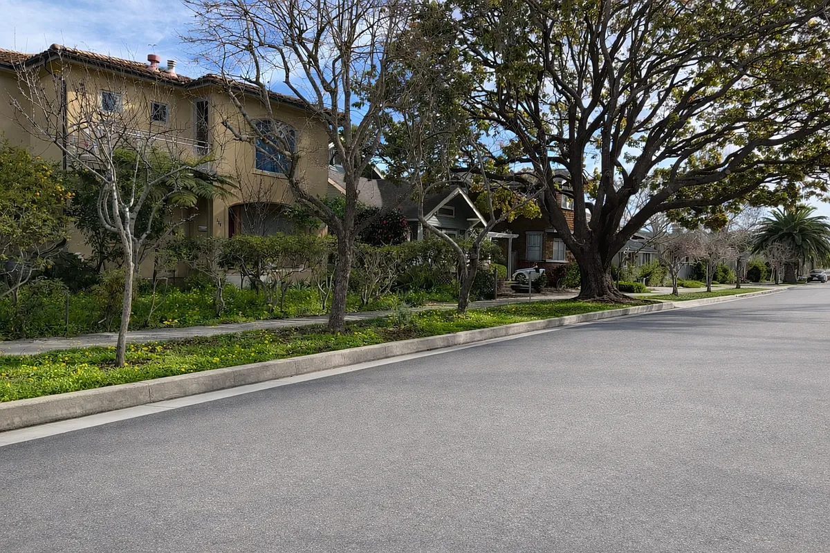 Building Photo - 326 Pacheco Ave