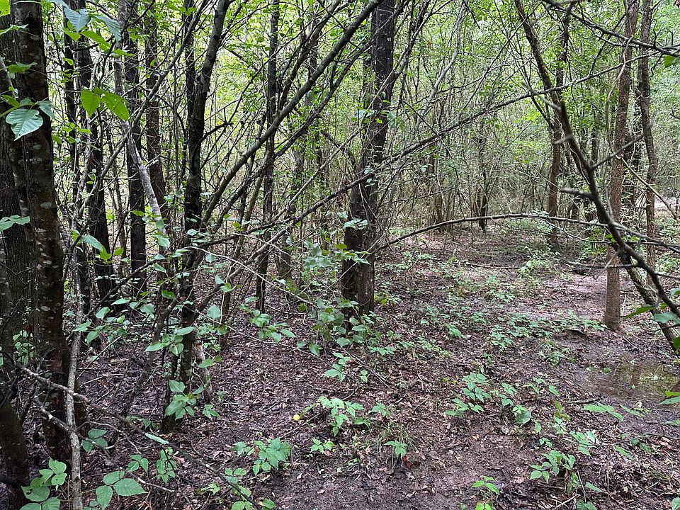 2nd image of 0 Branch Cv
