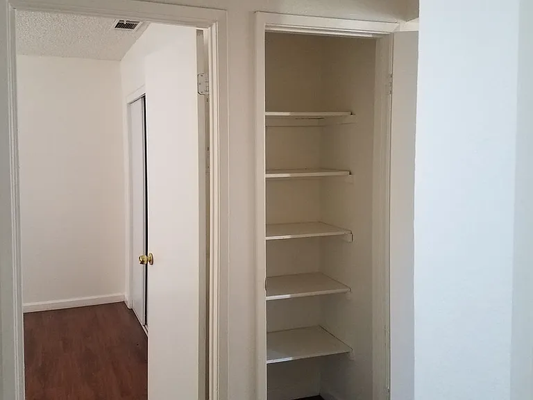 Pacific Pines — Photo 14
