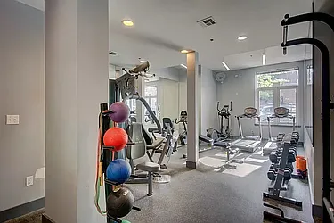 Rented by The Agency