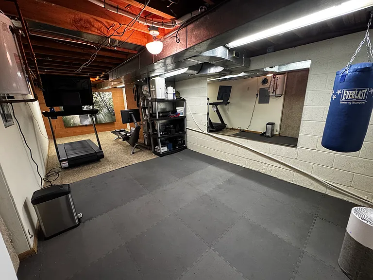 Basement gym with Hydro and Peloton Tread Plus treadmill.