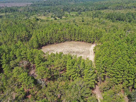 4th image of 3586 Pine Log Rd