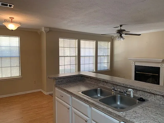 2 bed, 2.0 bath, 987 sqft, $1,225 — Photo 2