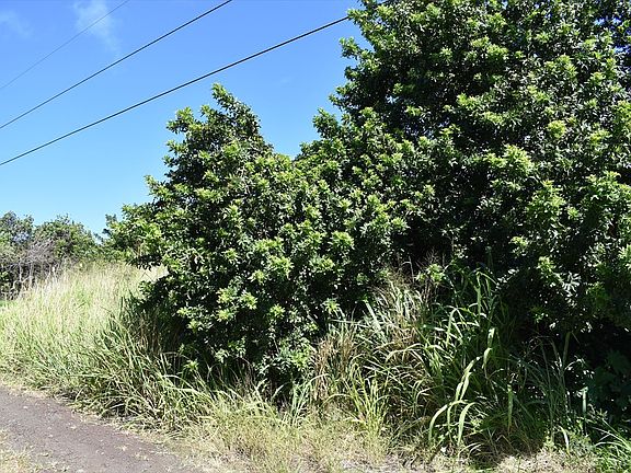 3rd image of Pele St Lot 22