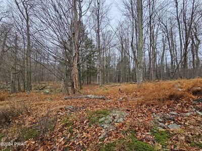 Lots 3113 3114 3115 Buck Hl, Greentown, PA, 18426