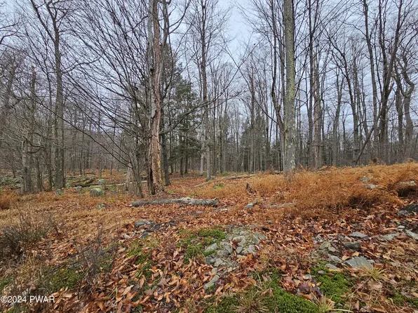 Lots 3113 3114 3115 Buck Hl, Greentown, PA 18426