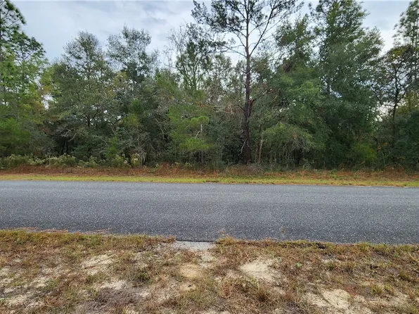 790 W Abner Pl, Citrus Springs, FL 34434