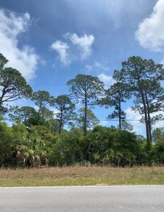 SE 326th St, Suwannee, FL, 32692