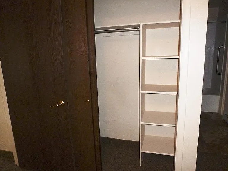 Closet with shelves