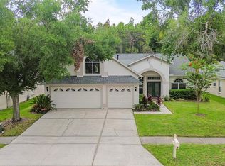 10217 TIMBERLAND POINT DRIVE, TAMPA, FL 33647