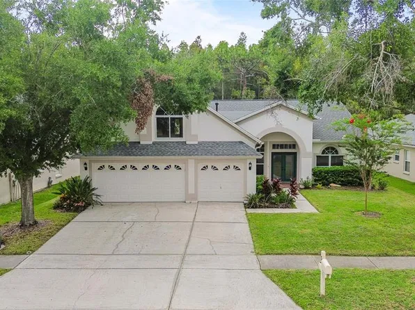 10217 TIMBERLAND POINT DRIVE, TAMPA, FL 33647