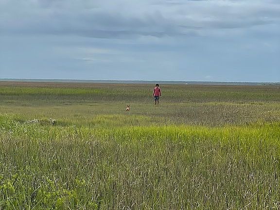 marsh views outer islands