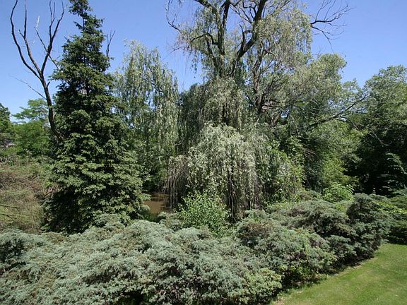 Balcony View in Summer