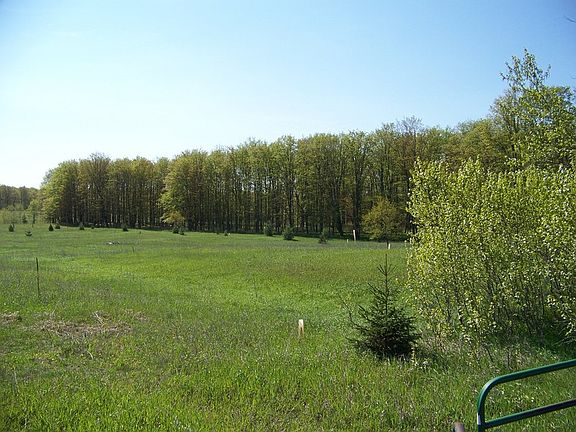 Looking to the southeast across the open acres.