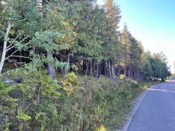 36205 S Whitney Bay Rd, Drummond Island, MI 49726