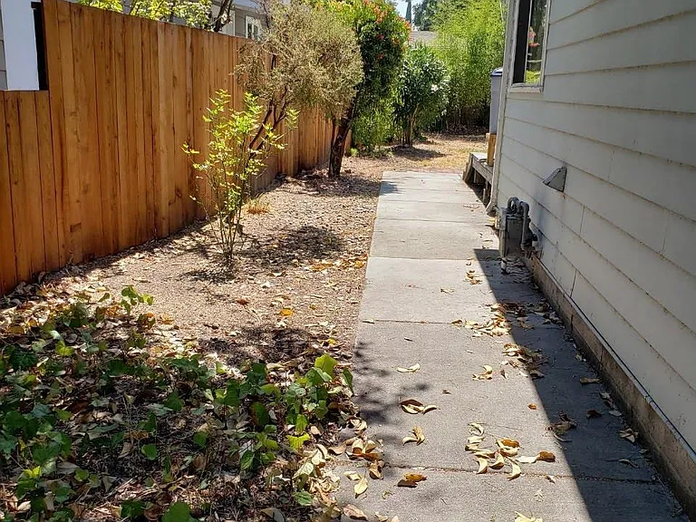 1409 Park Ave — Photo 6