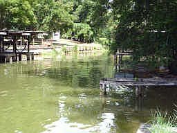 5th image of 208 Willow Crest Cir