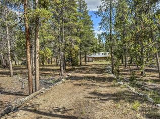 265 Placer Dr, Alma, CO 80420