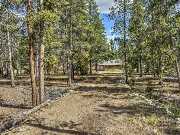 265 Placer Drive, Alma, CO 80420