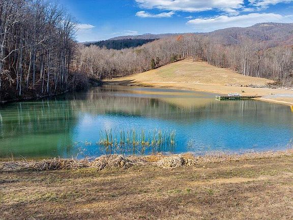 11th image of this home