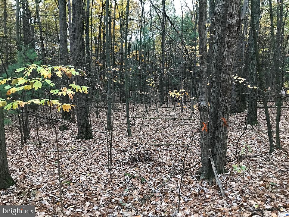 2nd image of 2 Indiana Rd