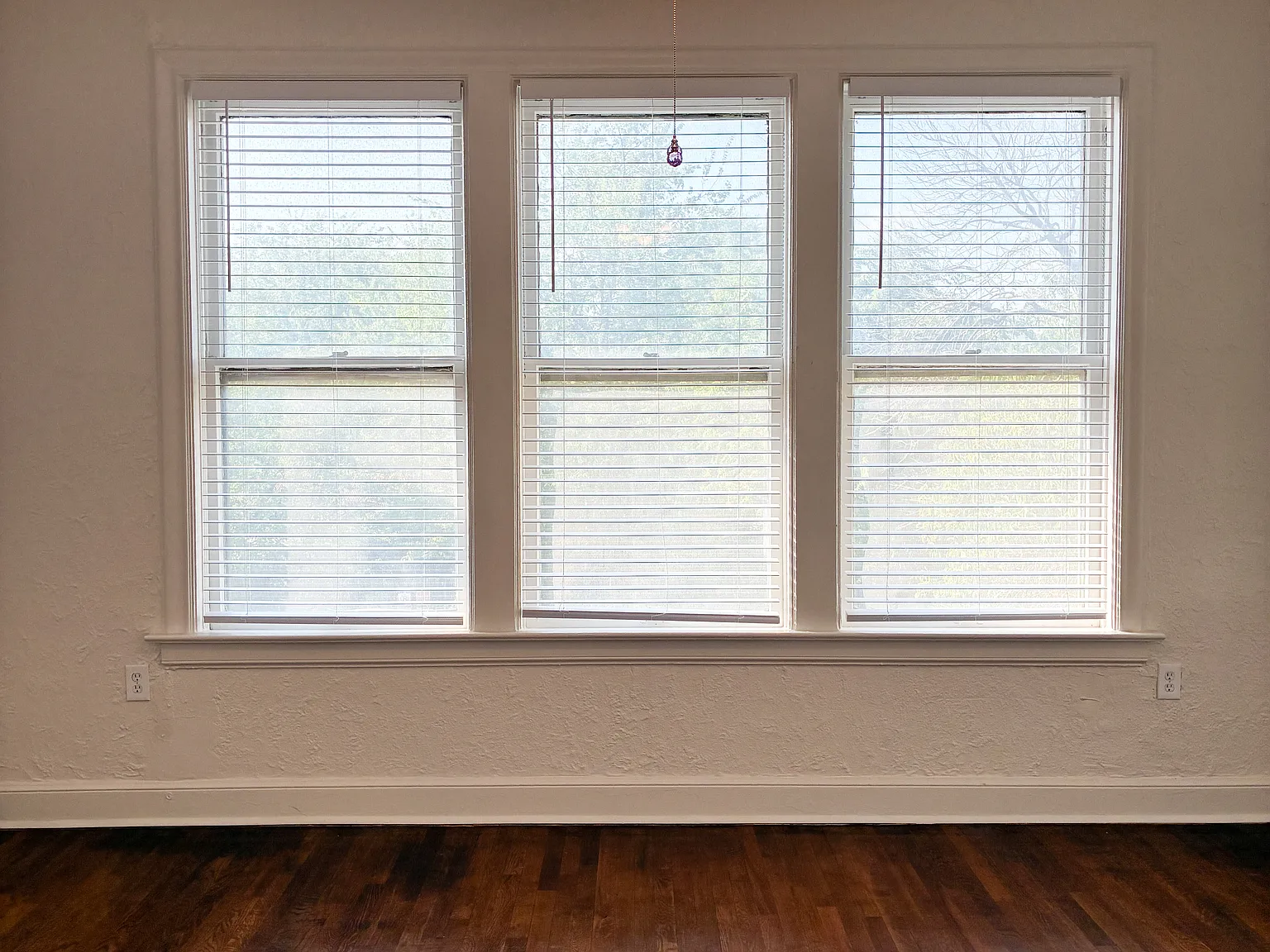 1 bed, 725 sqft, $1,095 — Photo 4