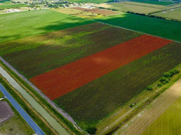 Fm 507, Harlingen, TX 78550