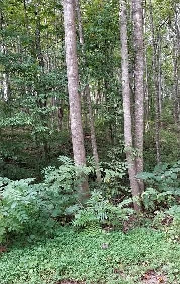 1st image of E James Anderson Hwy