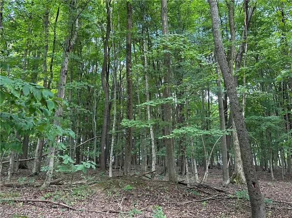 0 Township Road 2104, Loudonville, OH 44842