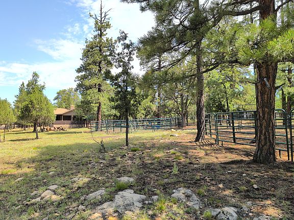 2nd image of 2111 Goshawk Dr