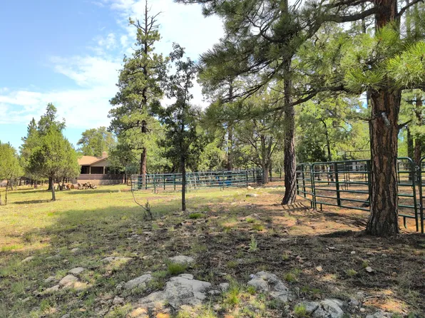 2111 Goshawk Dr, Happy Jack, AZ 86024