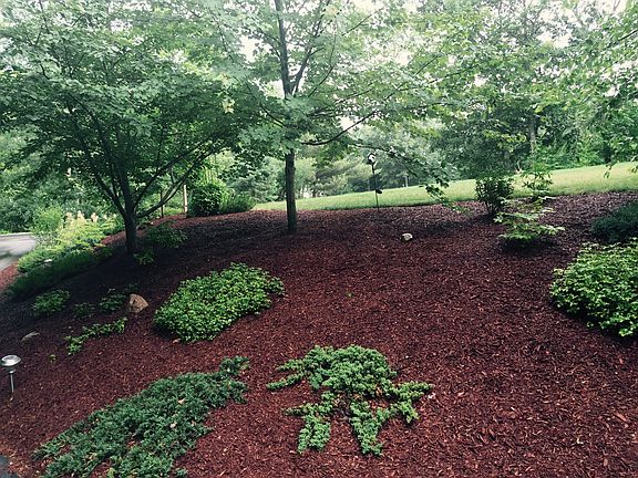Hillside in progress 