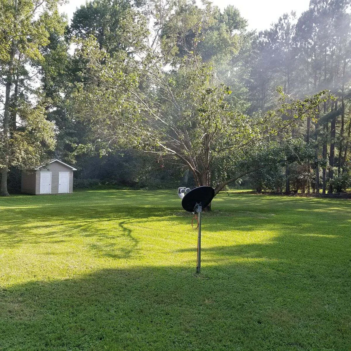 Back Yard - 314 Ivy Dr