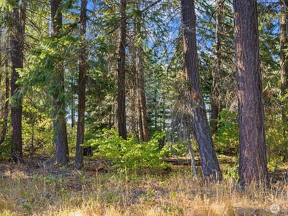 2nd image of 2040 Ruby King Loop