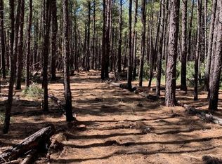 2 Dynamite Rd, Lakeside, AZ 85929