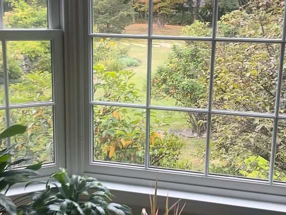 view from bay window