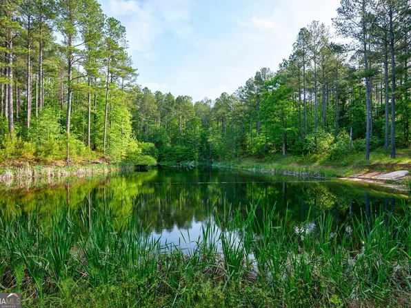 0 North Point Peter Road, Carlton, GA 30627