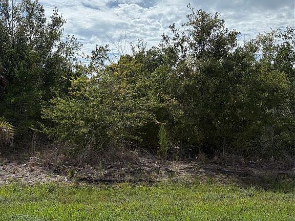 3rd image of 6175 MCALLEN STREET LOT 5