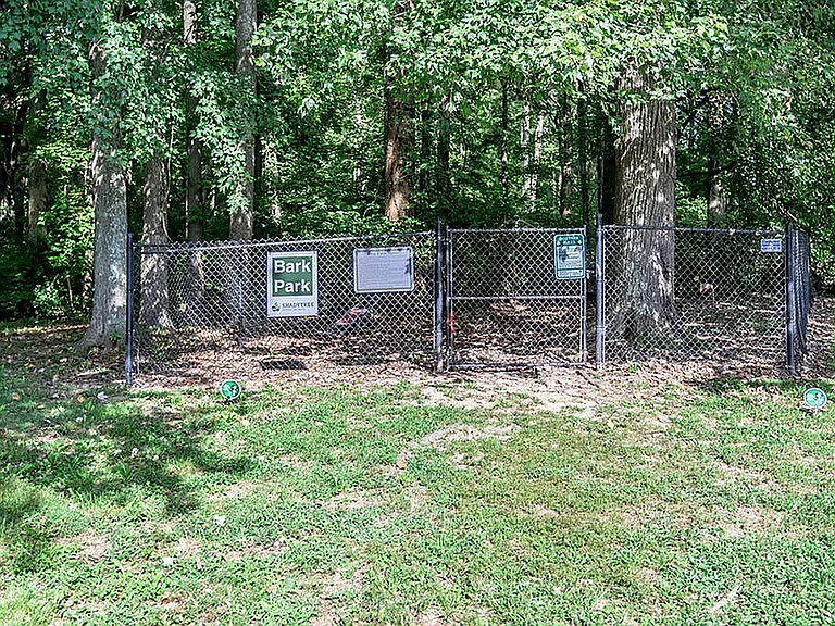 Shady Tree Apartments — Photo 7