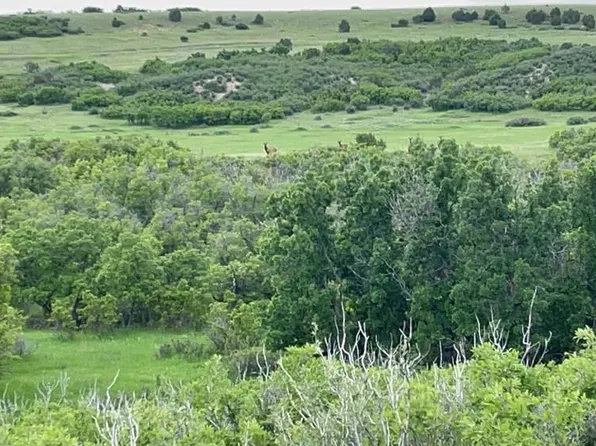 0 Big Bend Dr, Rye, CO 81069