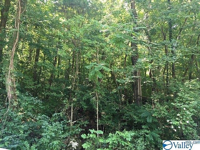 2nd image of 2204 Colice Rd SE