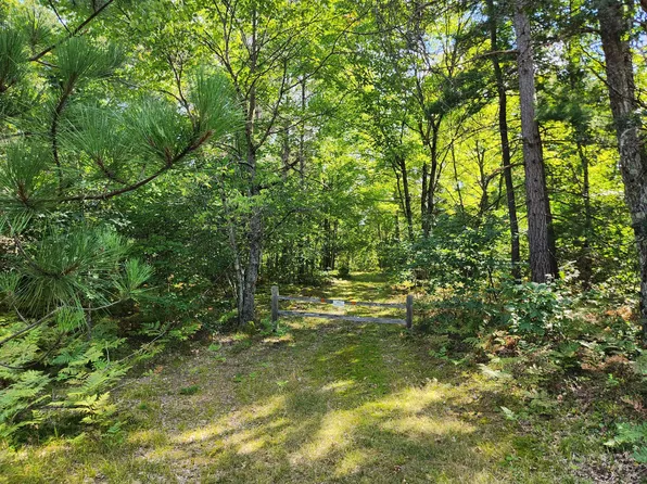 Par 2 Wilderness Trl, Luther, MI 49656