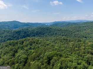 961 Trinton Dr, Ranger, GA 30734